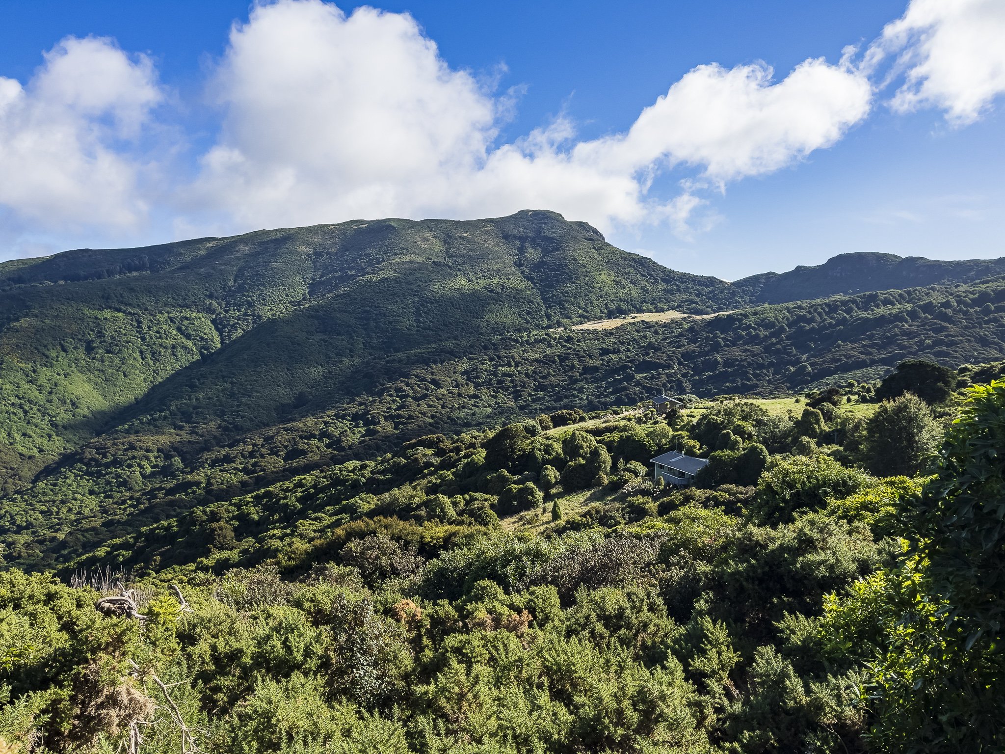 Looking south across Hinewai