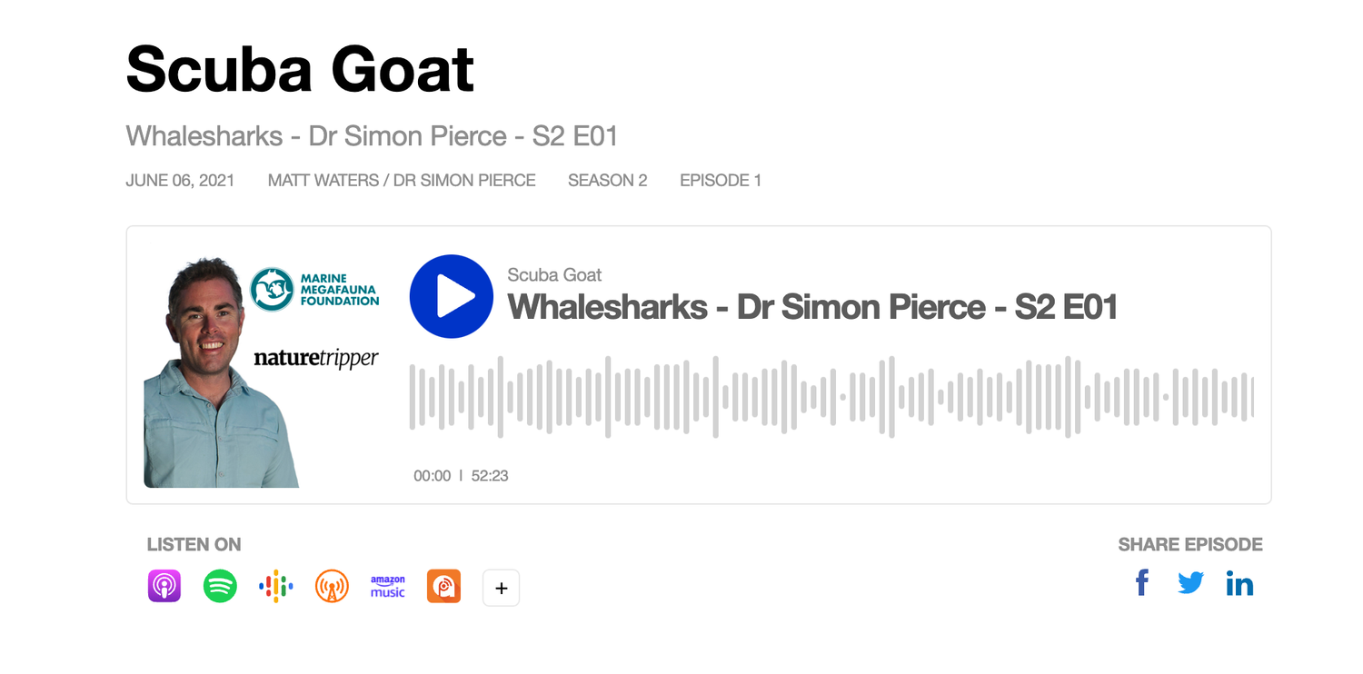 New Podcast: Whale Sharks, with Me