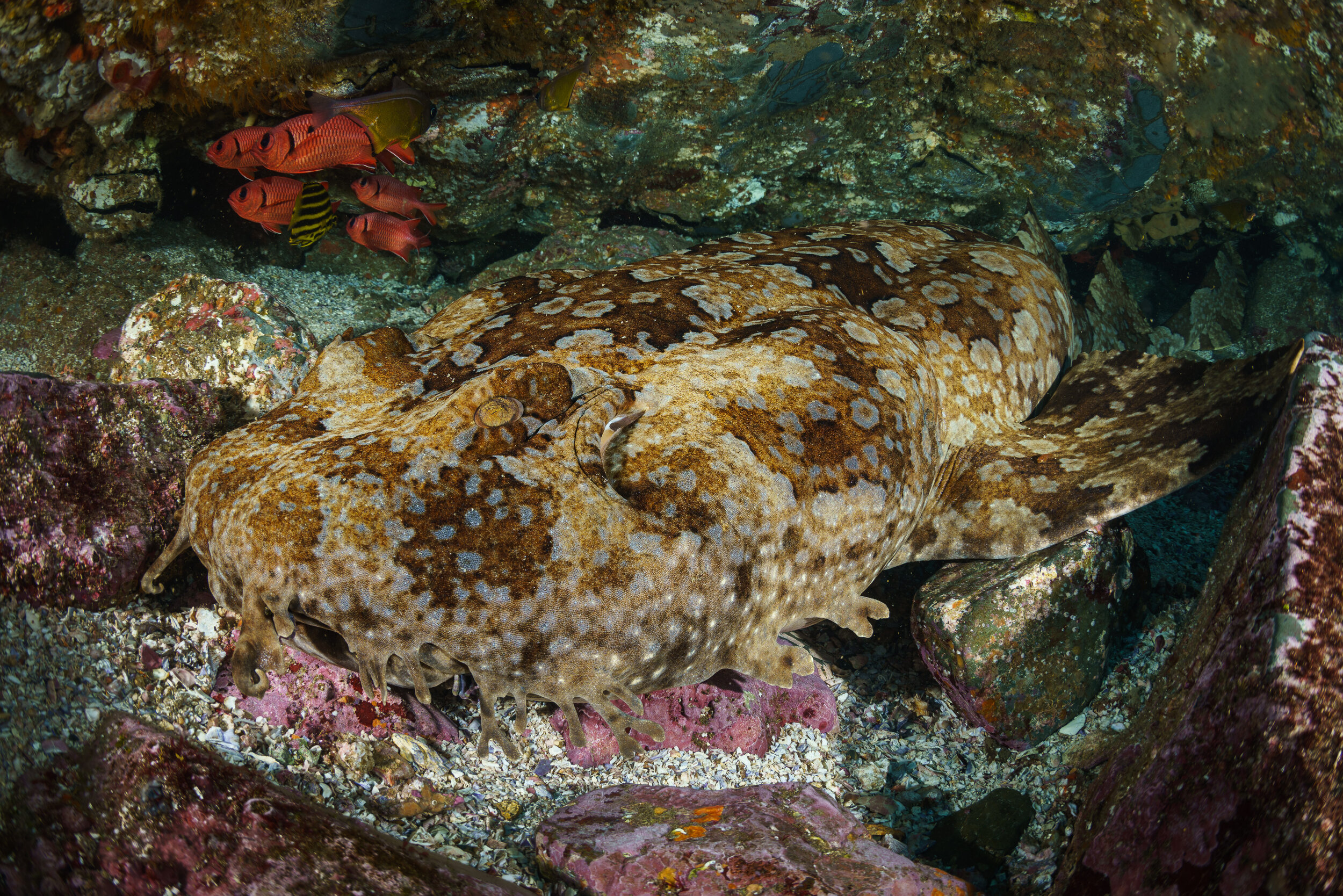 Pattern tracking comparison