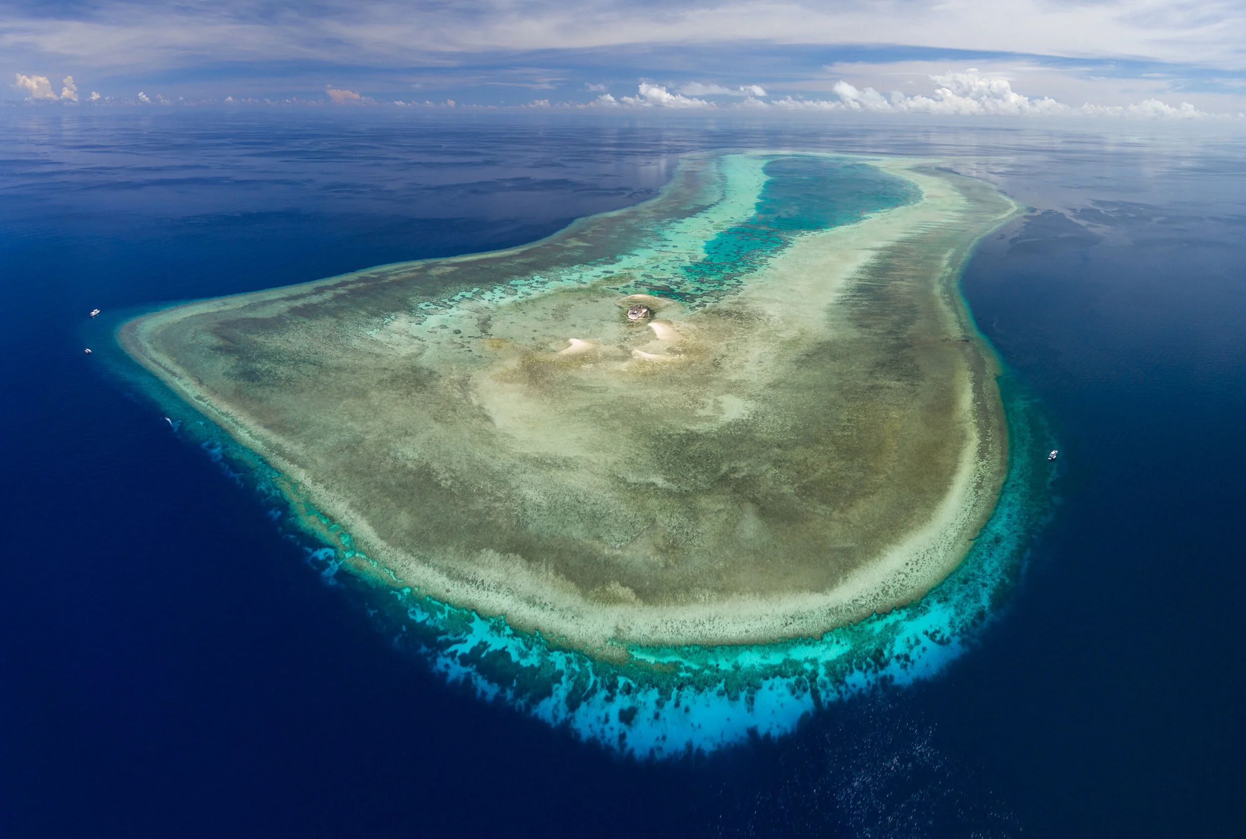 Tubbataha Reefs: a Conservation Success Story for Sharks