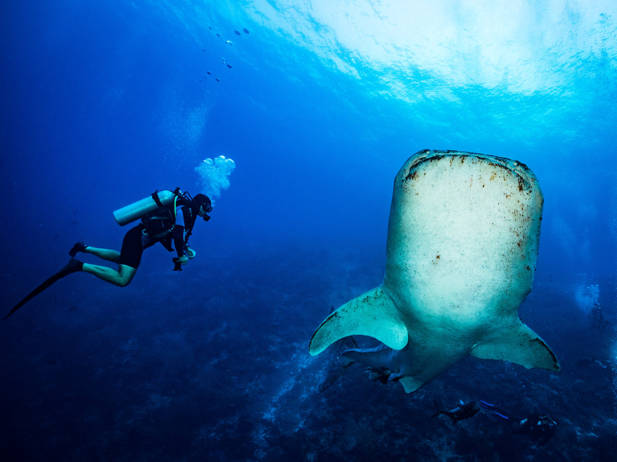 Gonzo Araujo and friend