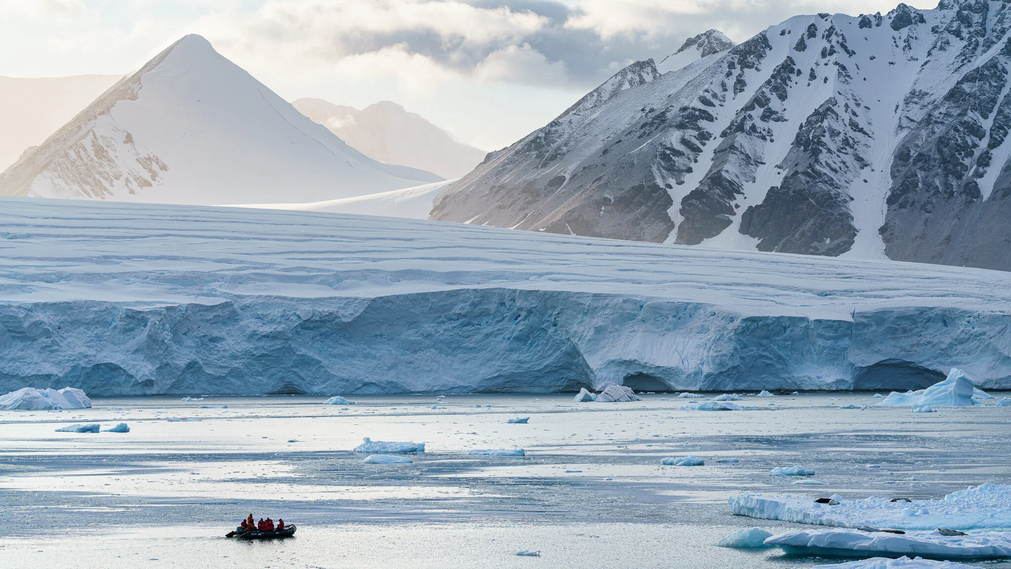 Wildlife photography by Simon J Pierce