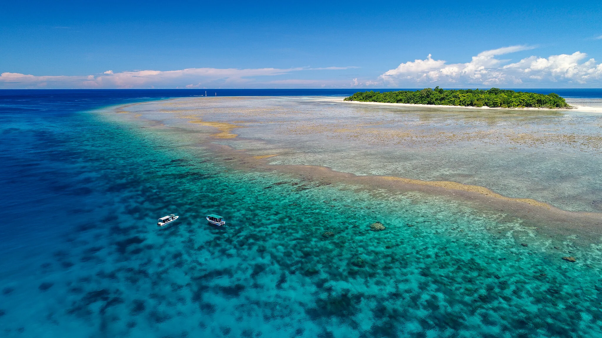 Wildlife photography by Simon J Pierce