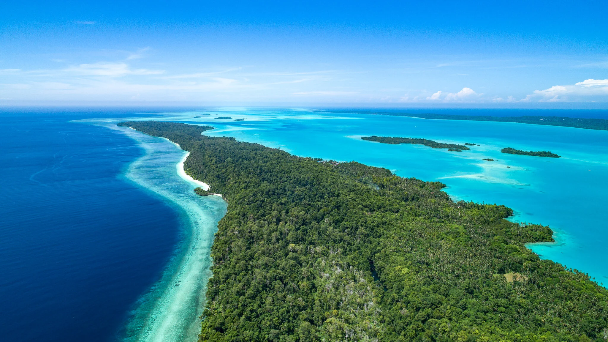 Wildlife photography by Simon J Pierce